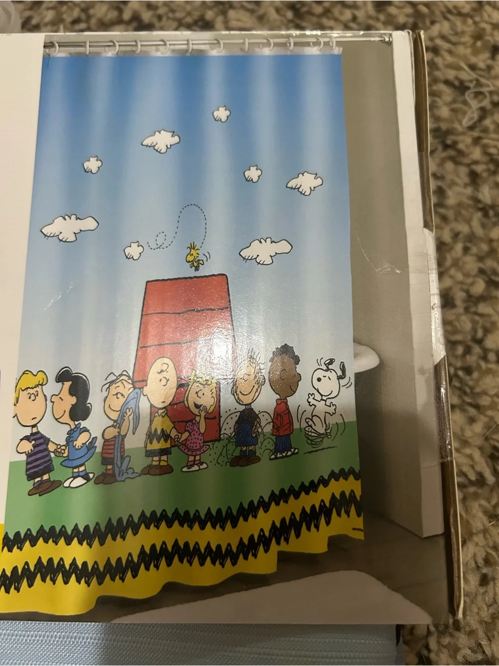 Peanuts image shows
